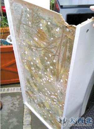 這塊用作鞋柜側板的板材由于受潮已經(jīng)被綠霉覆蓋。/網(wǎng)友供圖
