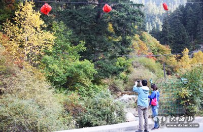 “紅葉”撬動(dòng)榆中旅游
