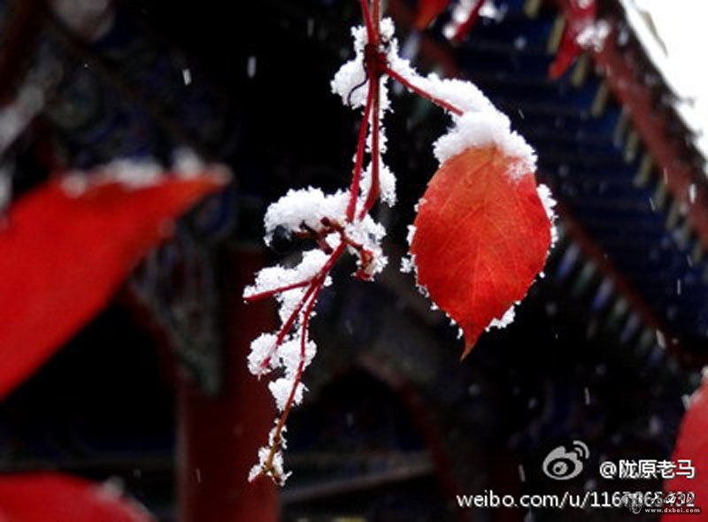 甘肅大范圍迎來(lái)降雪降溫