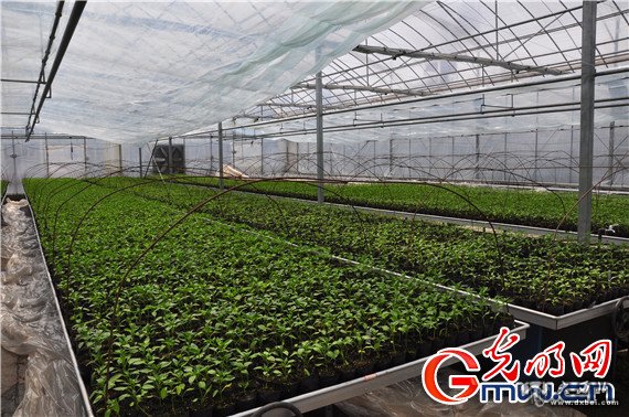 衢州市衢江區蓮花鎮省級現代農業(yè)園一景