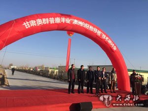 澳洲白胚胎移植實(shí)操與現場(chǎng)觀(guān)摩培訓研討會(huì )