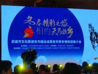 武威市2019至2020年?yáng)|春