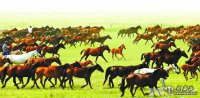 將新疆打造成現代馬產(chǎn)