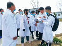 返鄉大學(xué)生“放羊班”