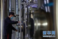 主動(dòng)出擊、抱團取暖—