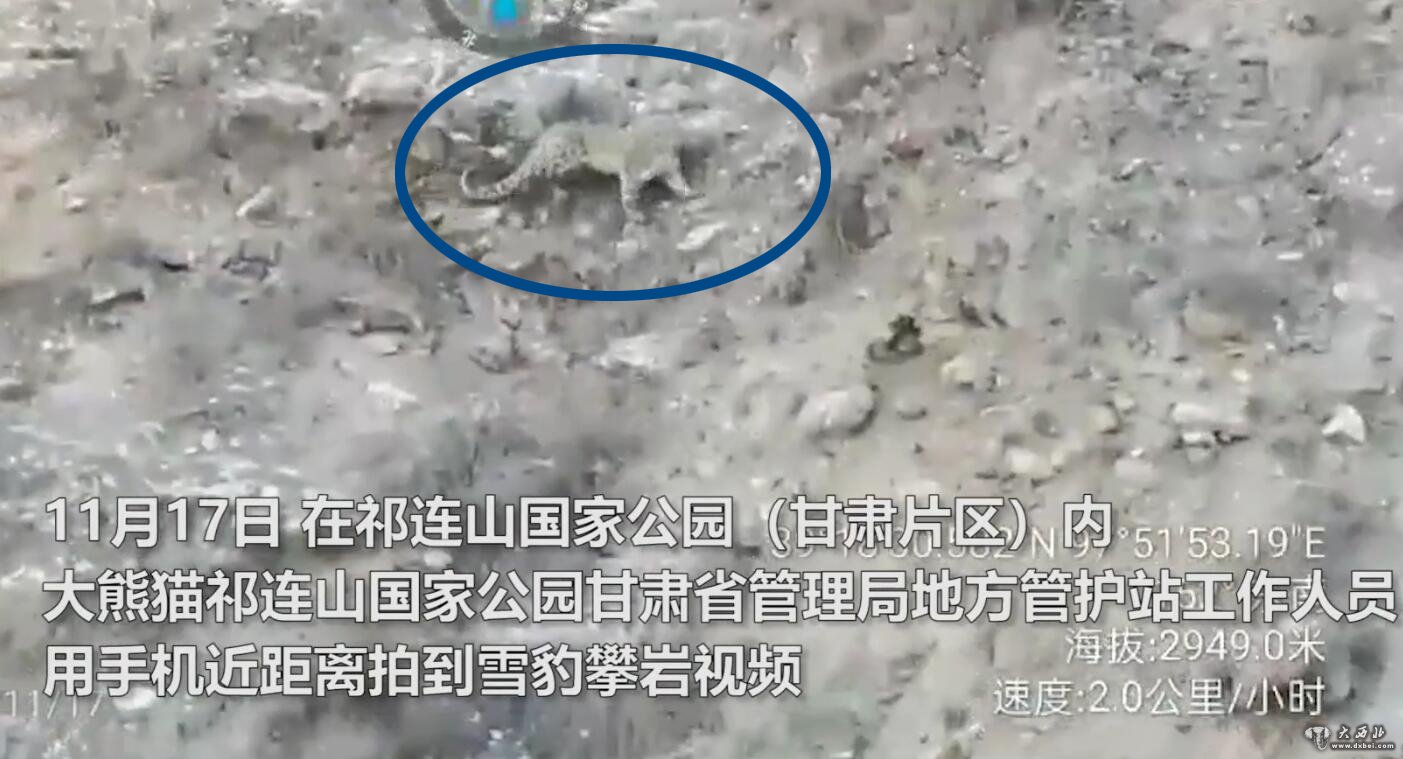 手機近距離拍到祁連山