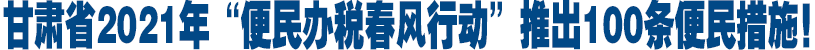 甘肅省2021年“便民辦稅