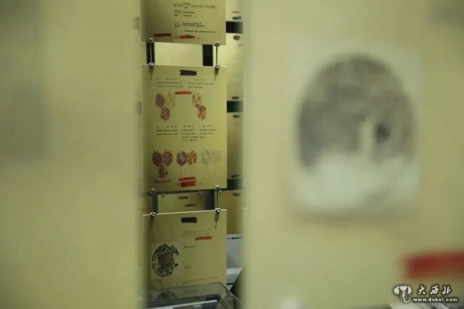 揭秘！德特里克堡基地