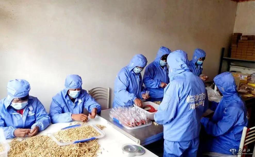 臨洮縣窯店鎮：持續做