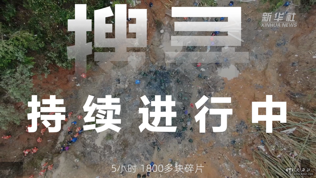 5小時(shí)，1800多塊碎片！