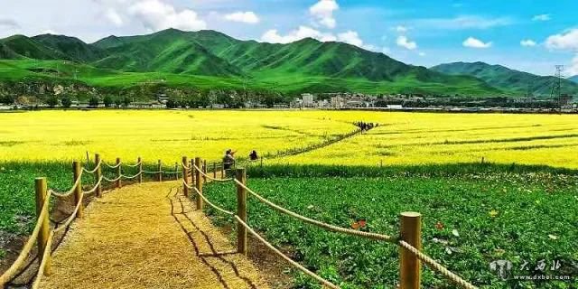 甘肅清明小長(cháng)假：春光