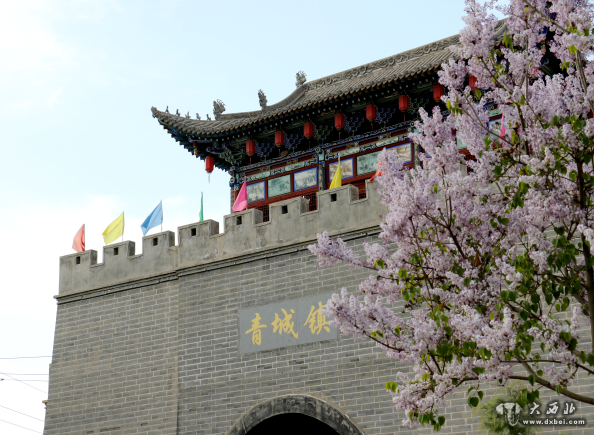 榆中青城古鎮春花爛漫