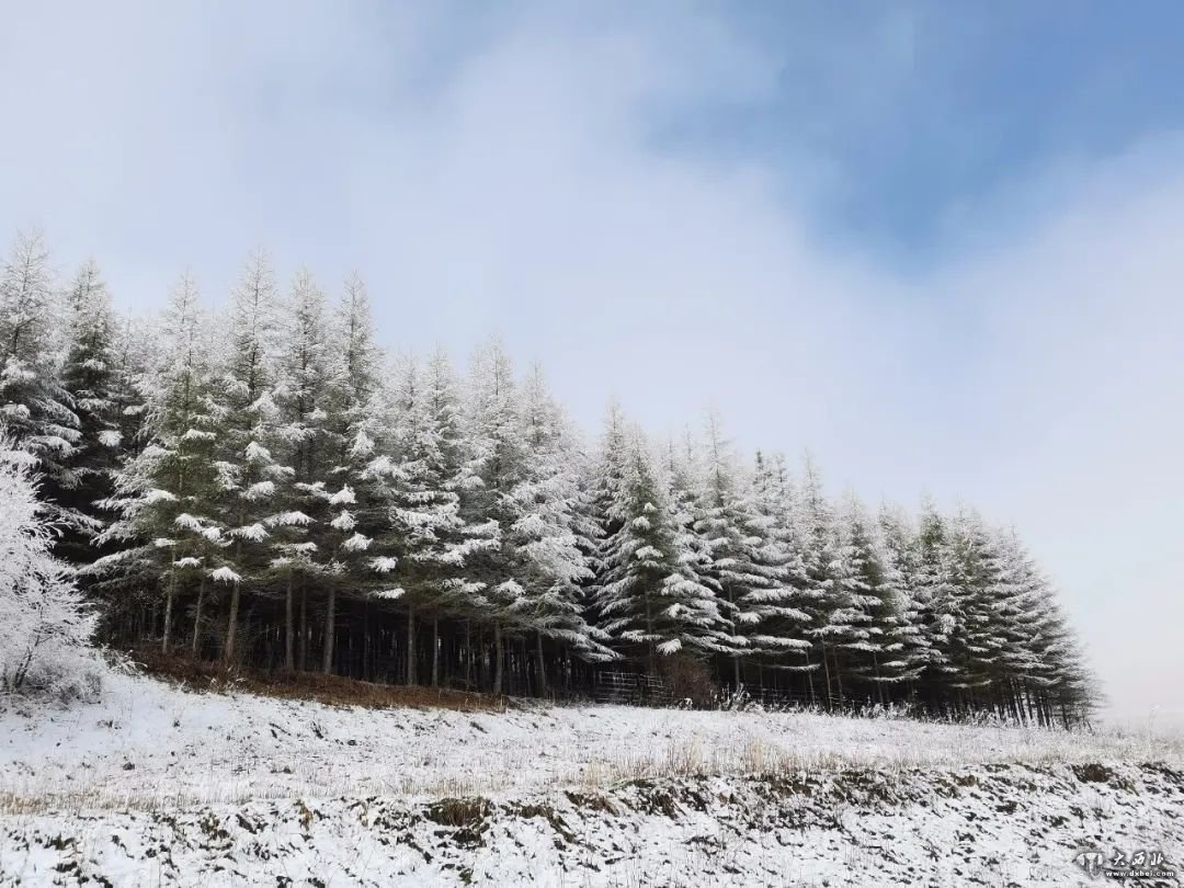 四月，邀你一起來(lái)臨潭賞雪