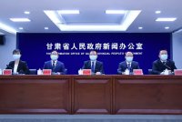 甘肅數字政府辦事能力