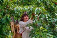 成縣小川鎮西狹村舉辦