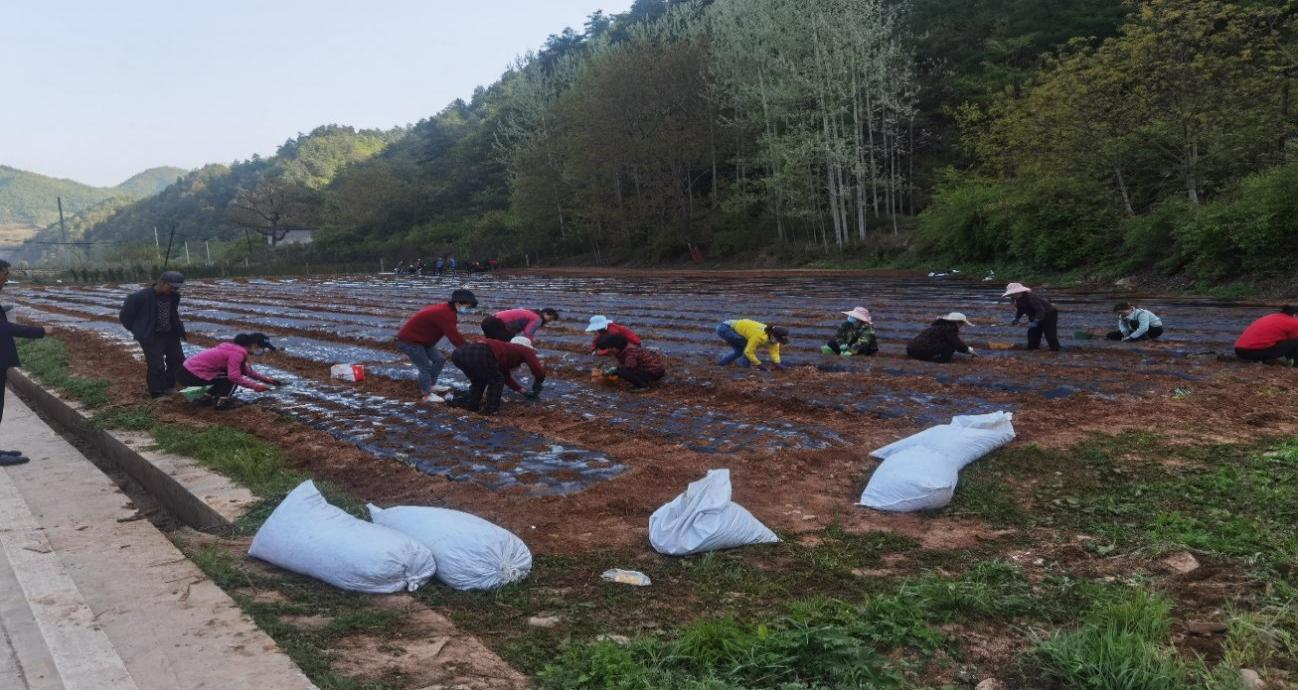 青島城陽(yáng)隴南成縣千里
