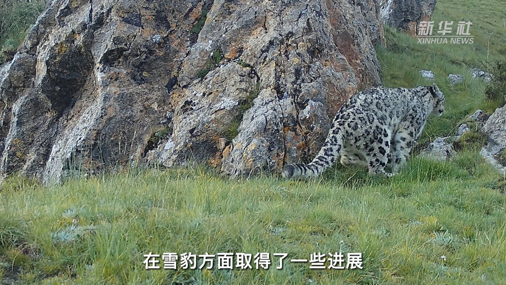 守望12年50位科研人員在