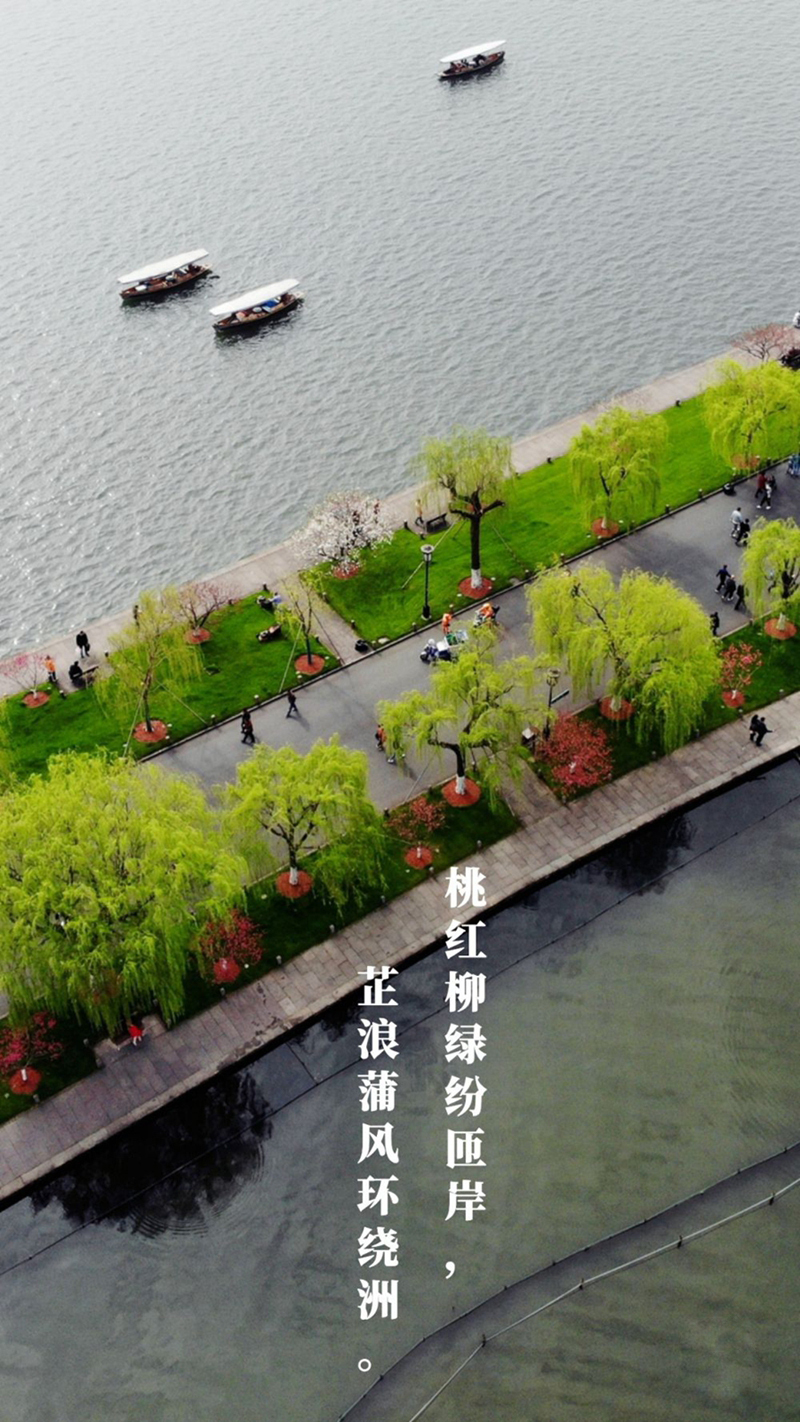 植樹(shù)傳統，從古詩(shī)中走