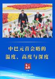 中巴元首會(huì )晤的溫度、