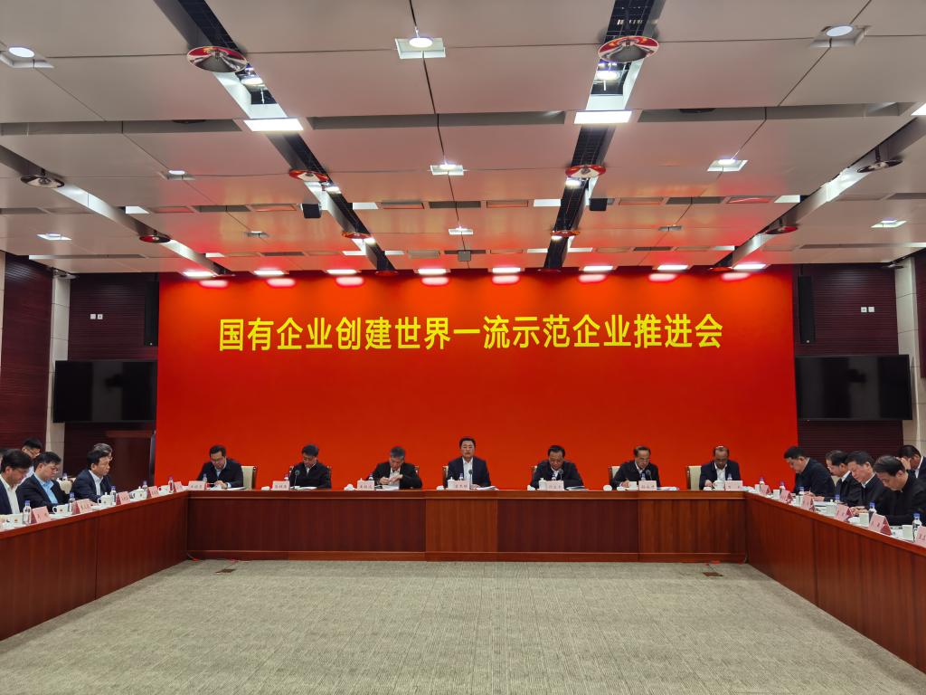創(chuàng  )建世界一流示范企業(yè)