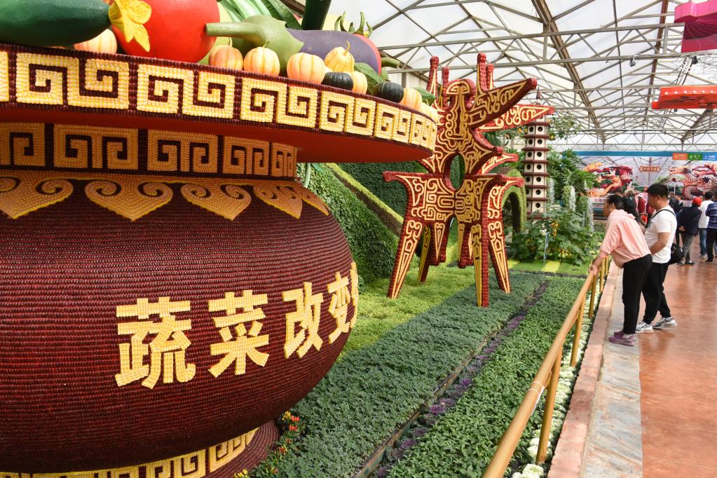 中國“菜籃子”科技含