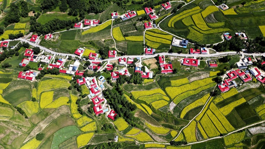 近悅遠來(lái)，隴原鄉村綻