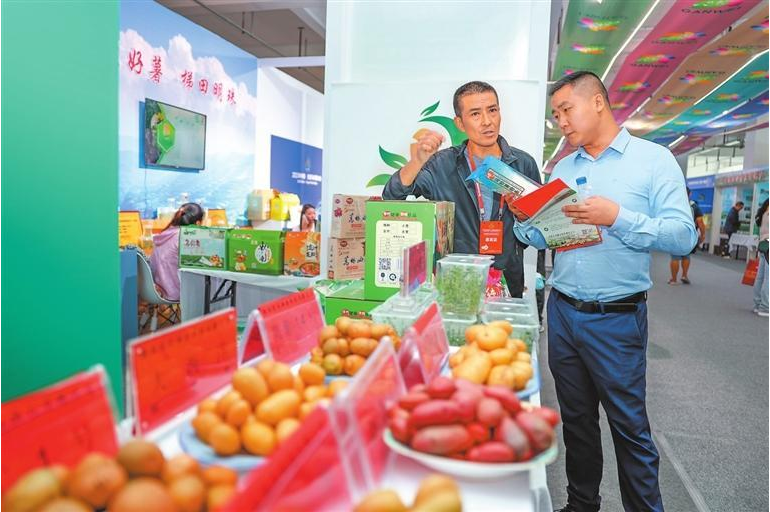 甘肅定西：以“薯”為