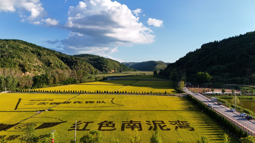 陜北·老區新貌丨新時(shí)