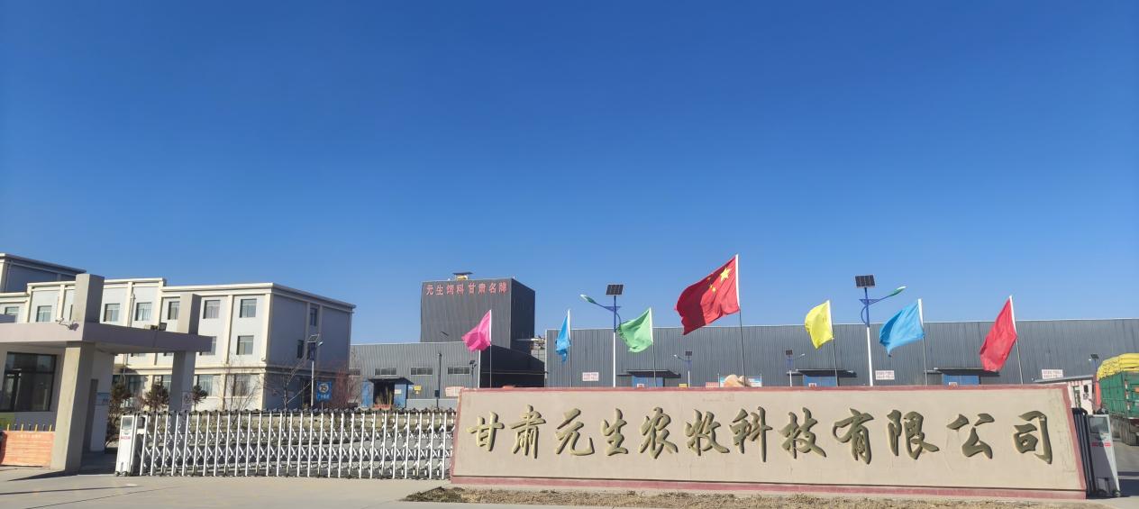 永昌縣創(chuàng  )新羊產(chǎn)業(yè)：全
