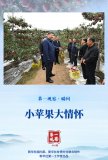 第一觀(guān)察·瞬間 | 小蘋(píng)