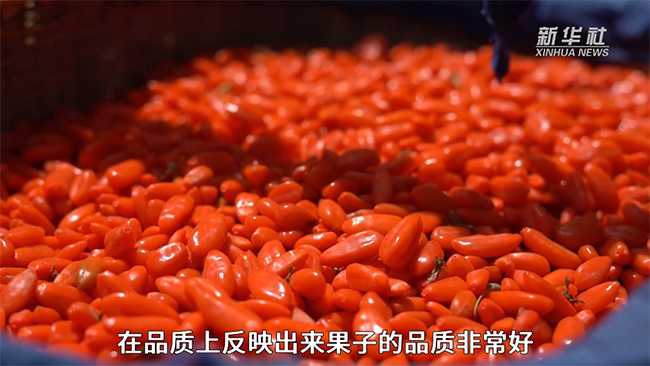產(chǎn)業(yè)創(chuàng  )新看西部｜科技
