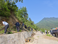 成縣：夏染護坡綻新綠